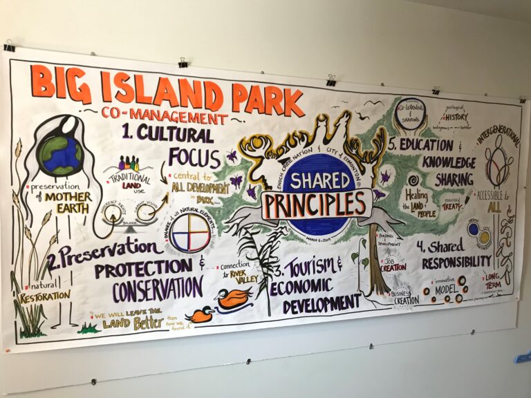 Big Island Park Poster