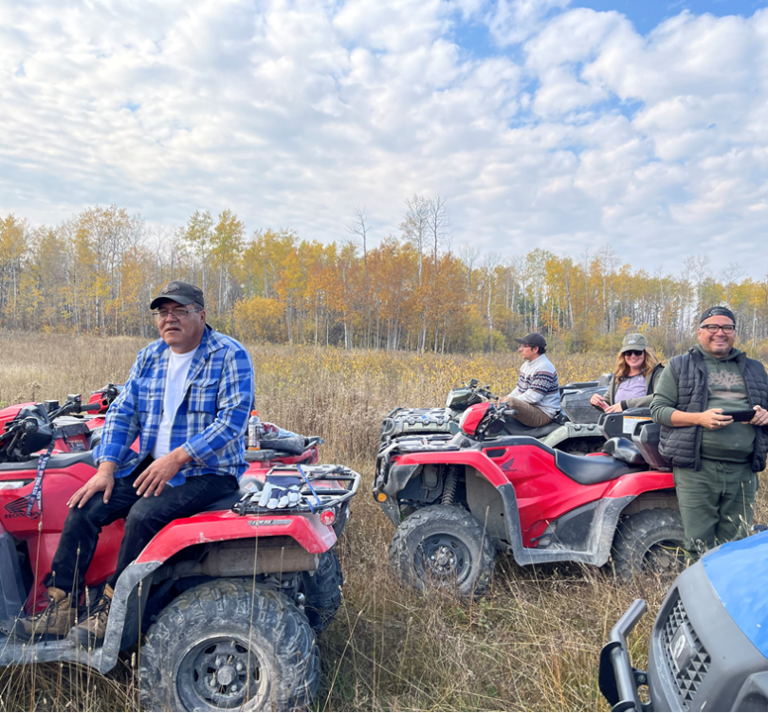 Bison Paddock Tour