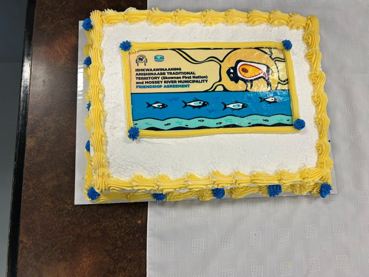 Friendship Agreement Cake