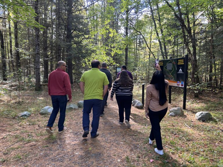 Ojibwe Park Walk