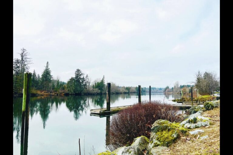 Somas River from Marina lands