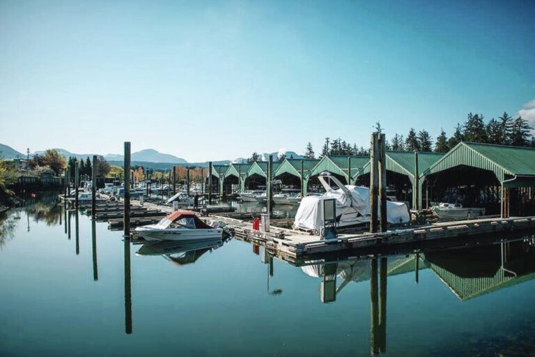 Boats at the Marina